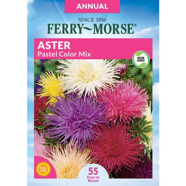 Ferry-Morse Aster Pastel Color Mix Flower Seeds
