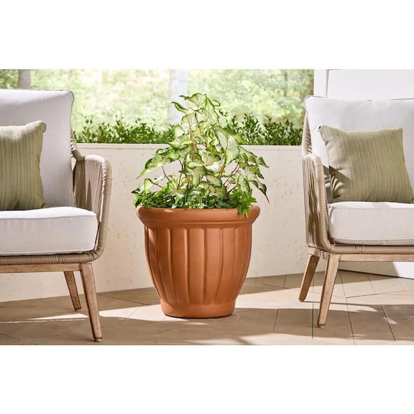 npk fertilizer for plants Buy NPK 00-52-34 Fertilizer – Strong Flowering & Fruiting main image 1