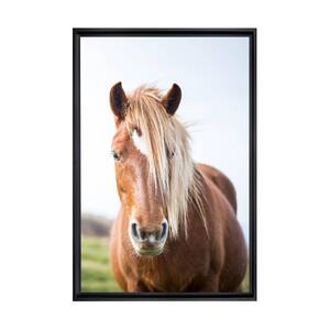 Wild Horse Framed Canvas Wall Art - 12 in. x 18 in. Size, by Kelly Merkur 1-pc Black Frame