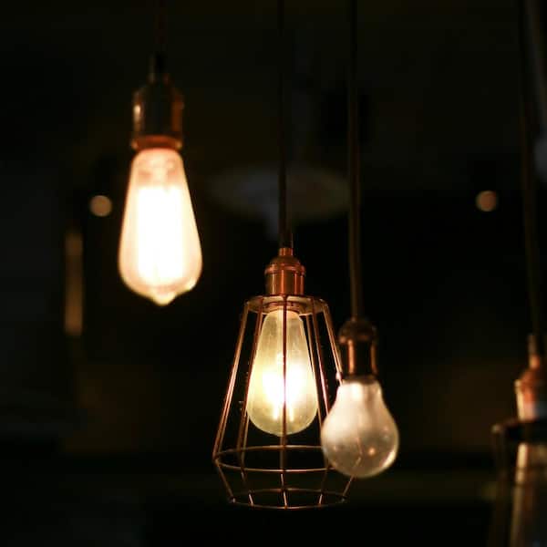 60-Watt ST19 Dimmable Cage Filament Amber Glass E26 Vintage Edison Incandescent Light Bulb Soft White 2100K (24-Pack)
