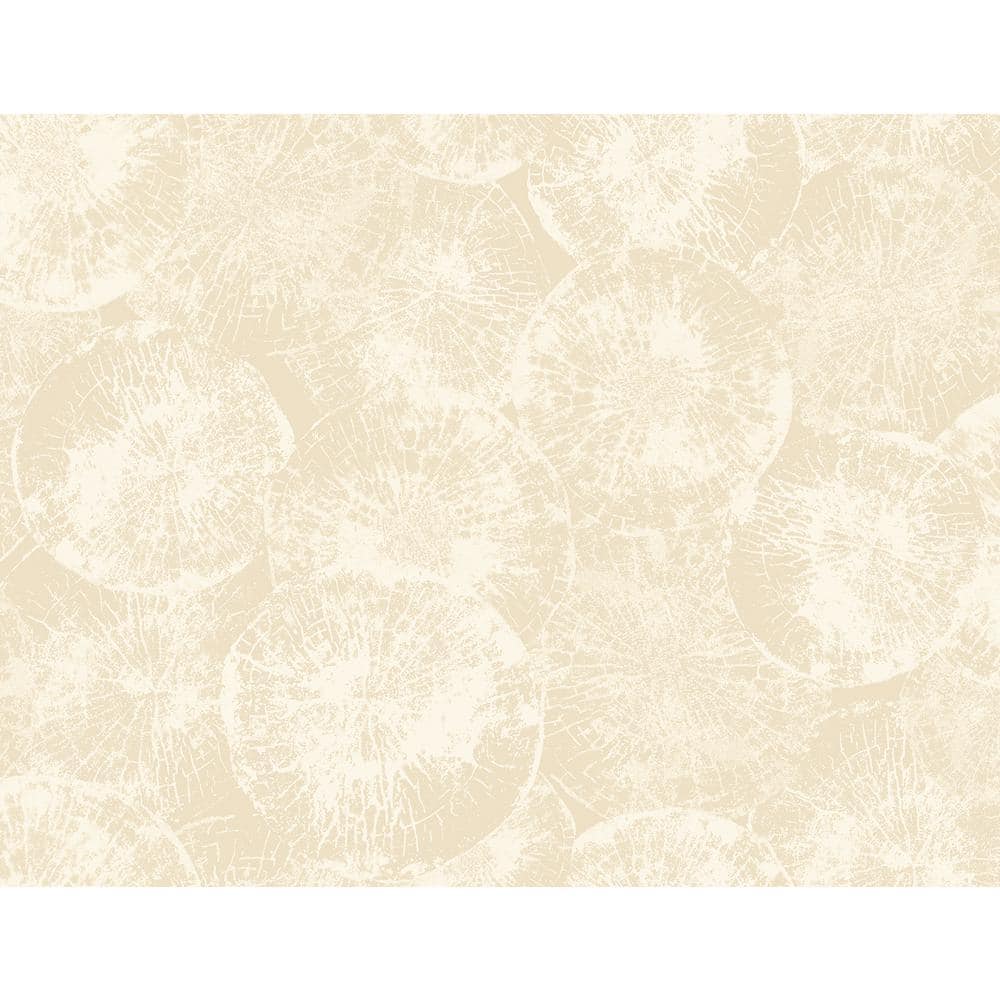Soft Beige Eren Paper Unpasted Wallpaper Roll (60.75 sq. ft.) price history on PriceWatchPro