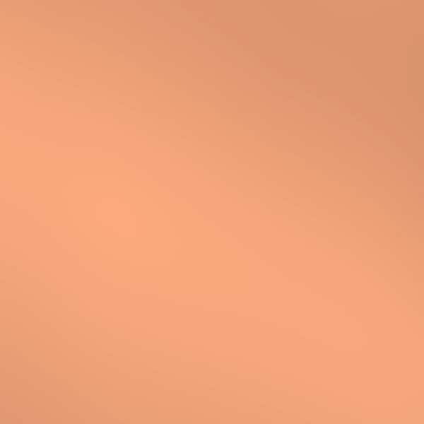 FROM PLAIN TO BEAUTIFUL IN HOURS Take Home Sample 3 in. x 5 in. Laminate Sheet in Aluminum with Rose Gold Finish