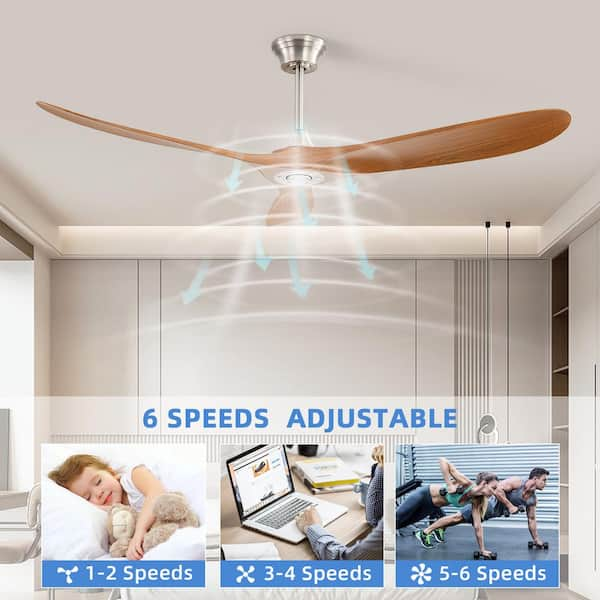 Sofucor 60 in. Indoor/Outdoor Modern Nickel Ceiling Fan without 