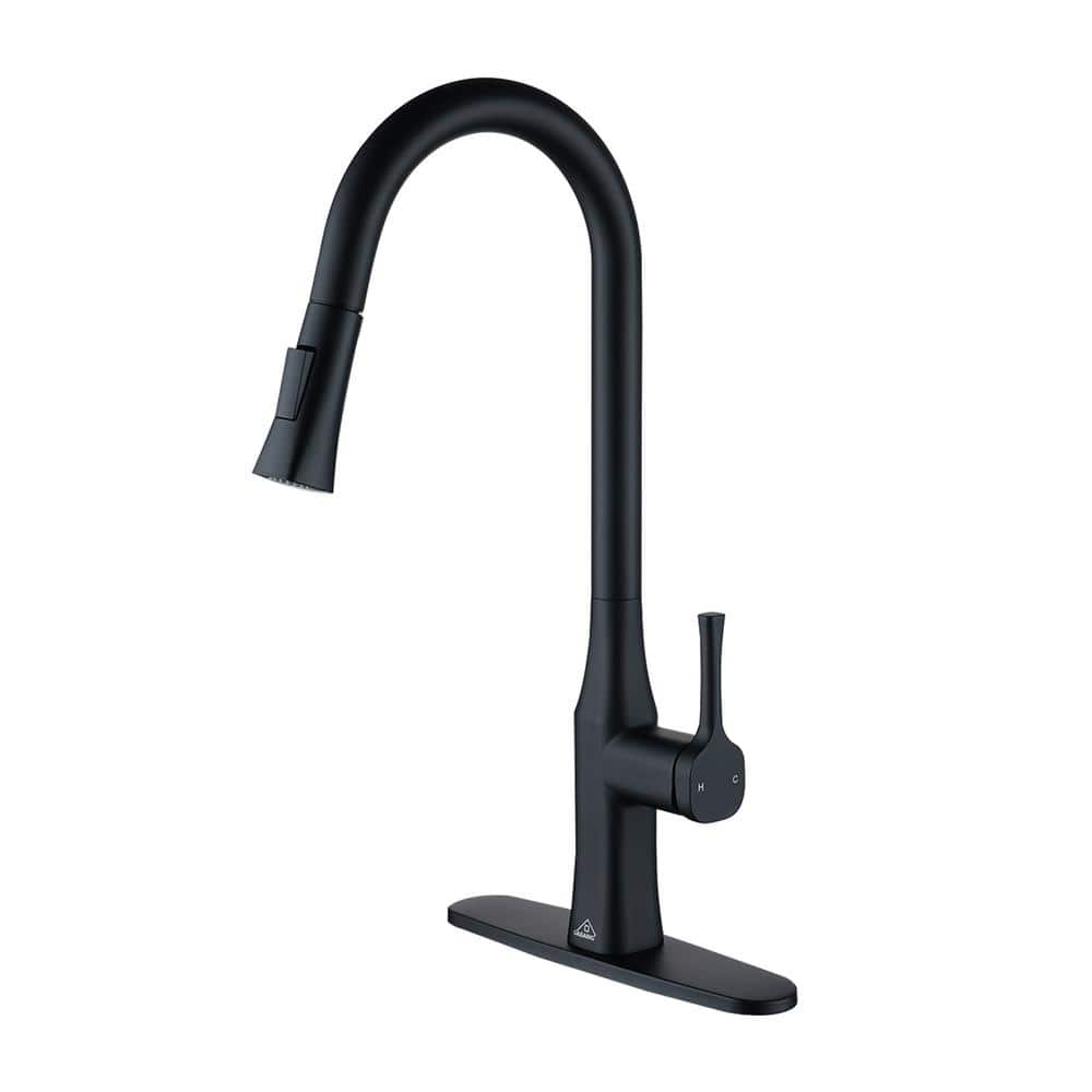 CASAINC Single Handle Pull Down Sprayer Kitchen Faucet with Dual ...