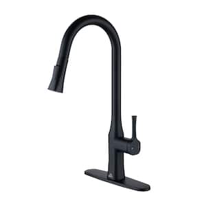 Single Handle Pull Down Sprayer Kitchen Faucet with Dual-Function Pull out Sprayer head in Matte Black