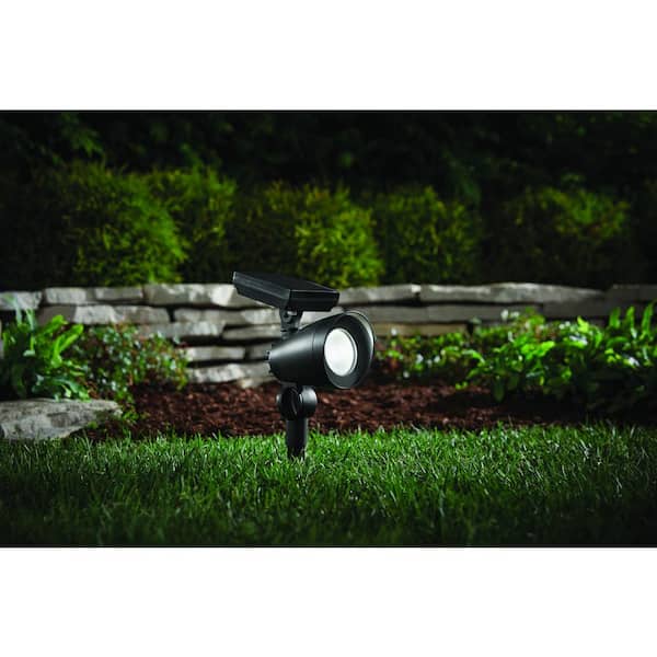 Hampton Bay 55 Lumens Black LED Outdoor Solar Spotlight with Adjustable Head (2-Pack)