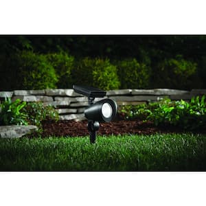 55 Lumens Black LED Outdoor Solar Spotlight with Adjustable Head (2-Pack)