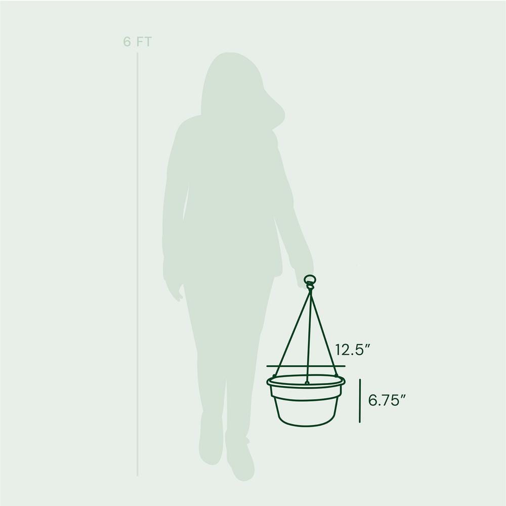 Living Green 12.5" Round Plastic Hanging Basket Planter