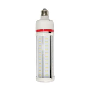 350-Watt Equivalent Cob E26 6975 Lumen LED Light Bulb 5000K in Bright White (4-Pack)