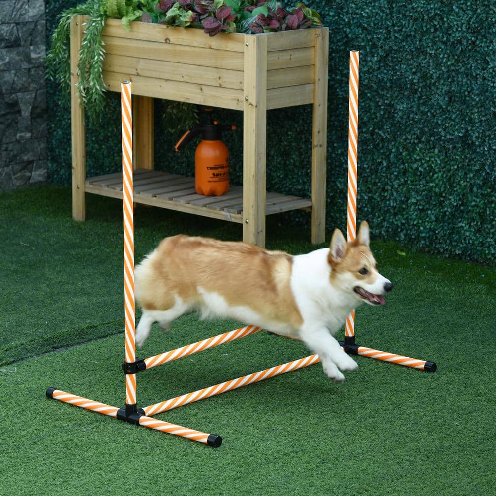 Adjustable Orange and White Dog Agility Training Set