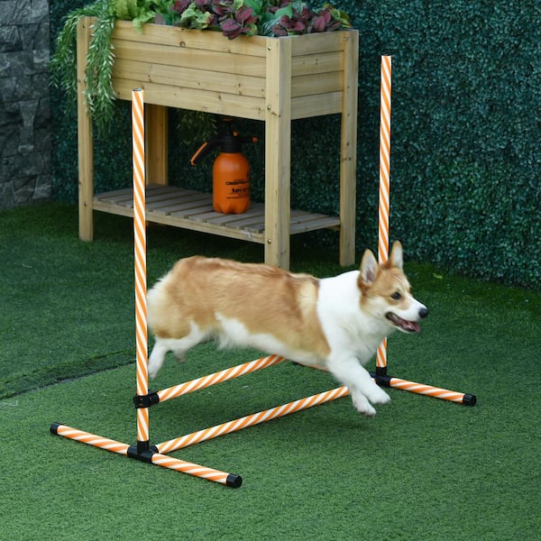 Pet Prime Dog Agility Training Equipment for Dog Obstacle Course Backyard  Height Adjustable Jumper Ring Portable Dogs Park Exercise Tool