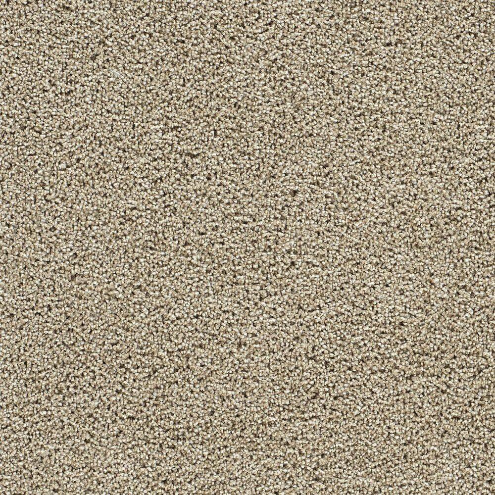 8 in. x 8 in. Texture Carpet Sample-Easel-Color Fresco price history on PriceWatchPro