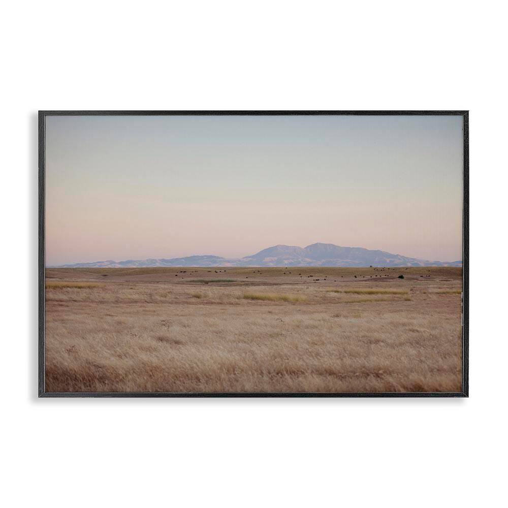 Grizzly Island View by Crystal Lynn Collins Black Framed Nature Giclee Art Print 16 in. x 24 in. price history on PriceWatchPro