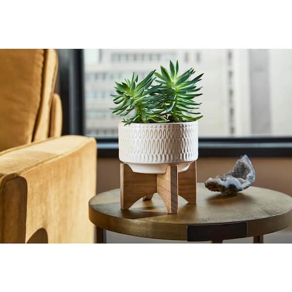 4.3 in. Gianna Small Ivory White Ceramic Pot (4.3 in. D x 4.75 in. H) with Stand