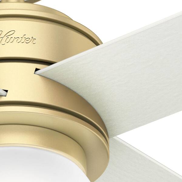 Hunter - Hepburn 52 in. Modern Brass Indoor Ceiling Fan with LED Light Kit and Wall Control