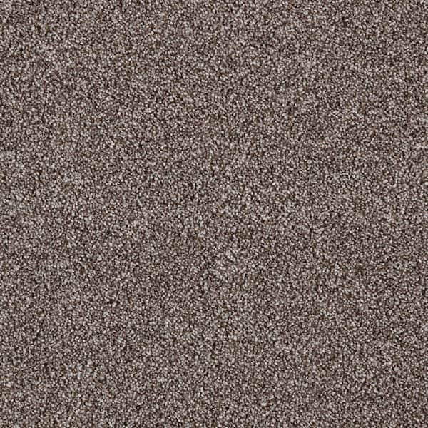 Playful Moments II Woody Brown 49 oz Triexta/PET Texture Installed Carpet