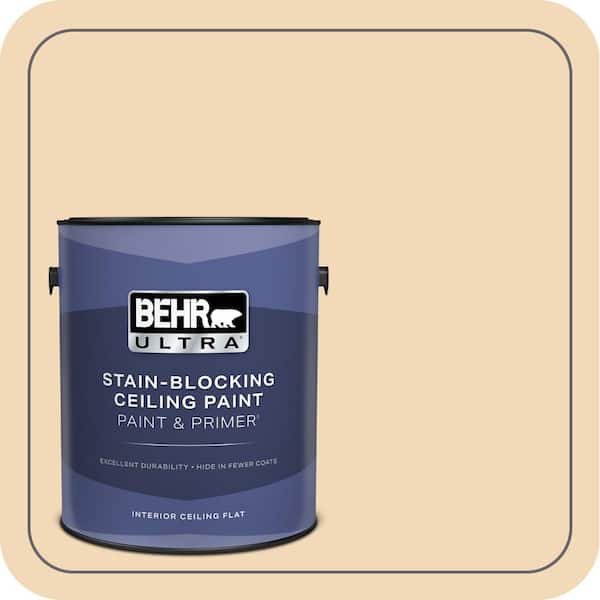 1 gal. #PPH-13 Vanilla Cone Ceiling Flat Interior Paint and Primer