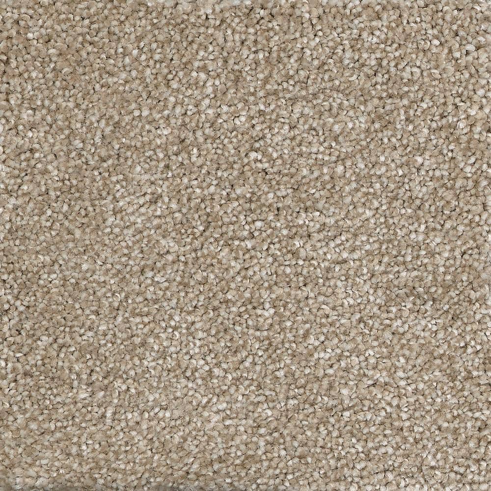 8 in. x  8 in. Texture Carpet Sample - Fast Performer -Color Sonoma price history on PriceWatchPro