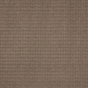 Canter  - Shadywood - Beige 38 oz. Triexta Pattern Installed Carpet