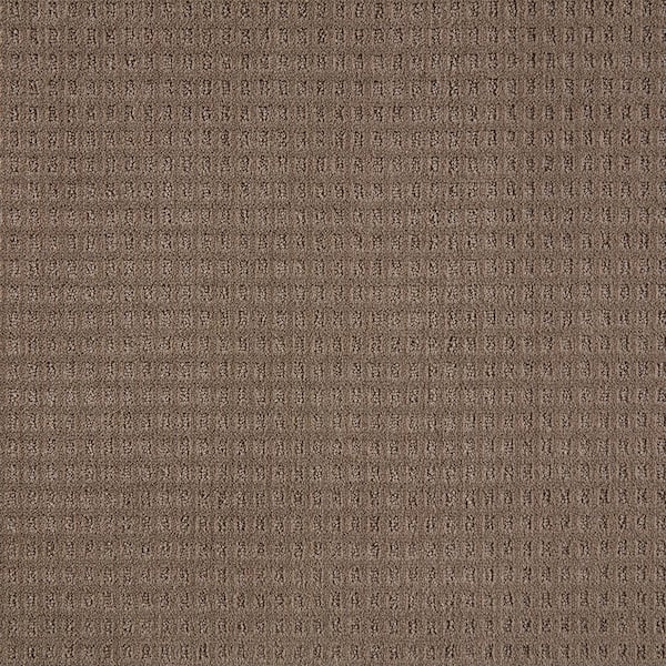 Lifeproof with Petproof Technology Canter  - Shadywood - Beige 38 oz. Triexta Pattern Installed Carpet