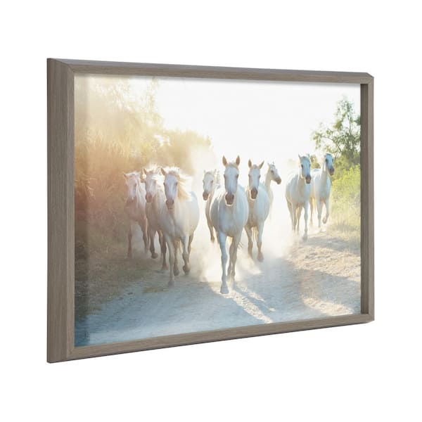Kate and Laurel Blake 24 in. x 18 in. Camargue Horse XIII by Laura Evans Framed Printed Glass Wall Art
