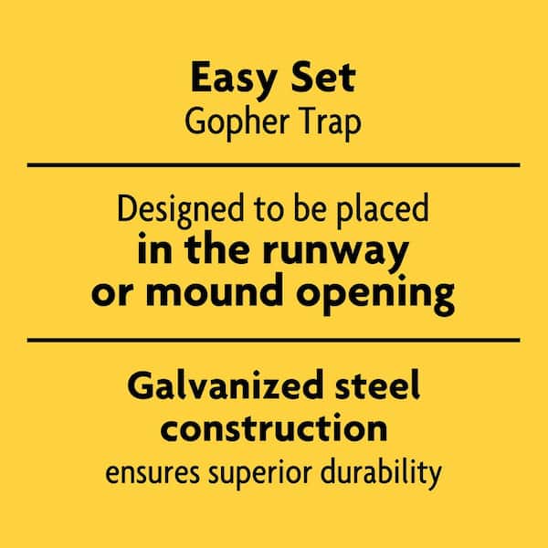 Metal Pedal Indoor and Outdoor Sustainably Sourced FSC Wood Snap Mouse Trap (2-Count)