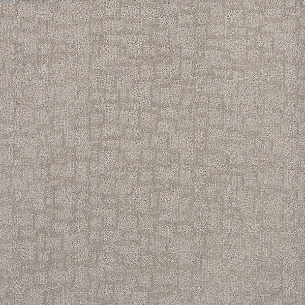 Lifeproof with Petproof Technology Painted Picture - Agate-Brown 12 ft. 45 oz. Triexta PET Pattern Installed Carpet