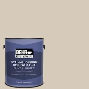 1 gal. #PPU5-12 Almond Wisp Ceiling Flat Interior Paint & Primer