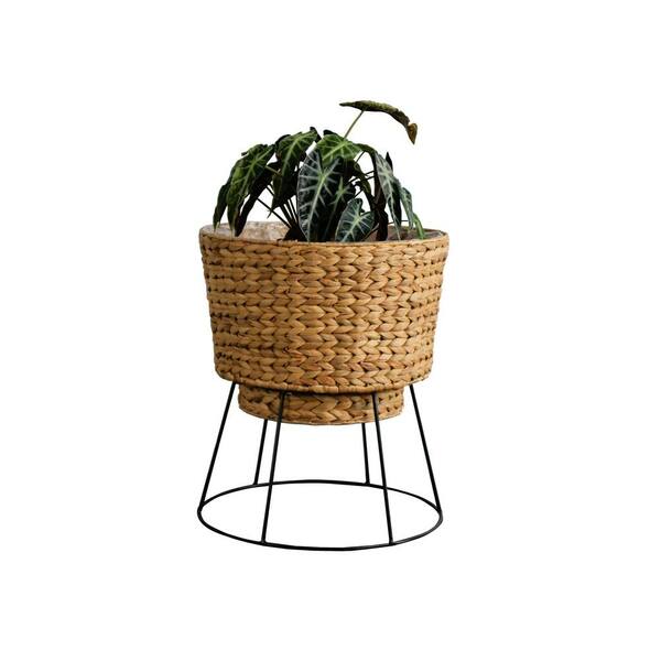 リリパットレーン　THE FLOWER BASKET Sunshine Basket by Petals & Stems (TF203-11) in Dallas TX