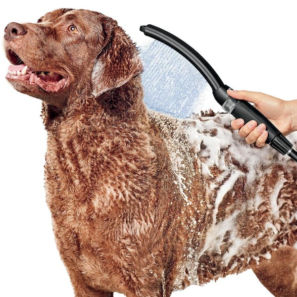 Dog Shower Heads  Our Favorite Attachments To Make Bath Time Easy