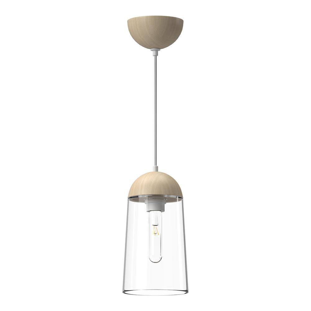 Matte Black and White Glass Incandescent Pendant Light