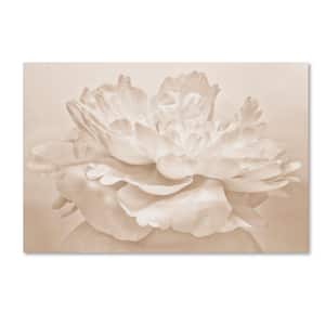 22 in. x 32 in. "White Peony" by Cora Niele Printed Canvas Wall Art