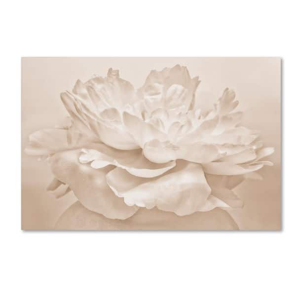 Trademark Fine Art 30 in. x 47 in. "White Peony" by Cora Niele Printed Canvas Wall Art