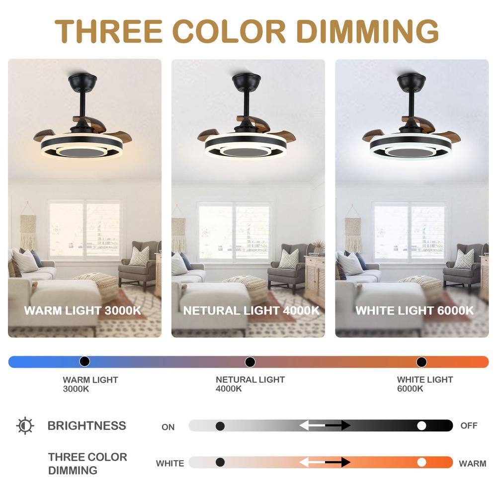 22-Inch Black Modern Ceiling Fan with Clear Blades and LED Light