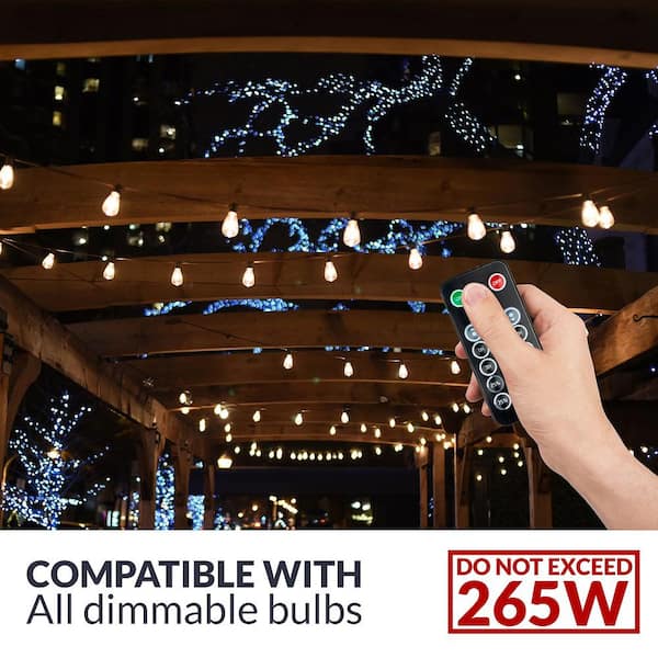 Newhouse Lighting LED Outdoor 50 ft. Plug-In Globe Bulb String Light with  25 Sockets and 100-Watt Dimmer, Remote Control and 2 Extra Bulbs  PSTRINGLEDDIM - The Home Depot