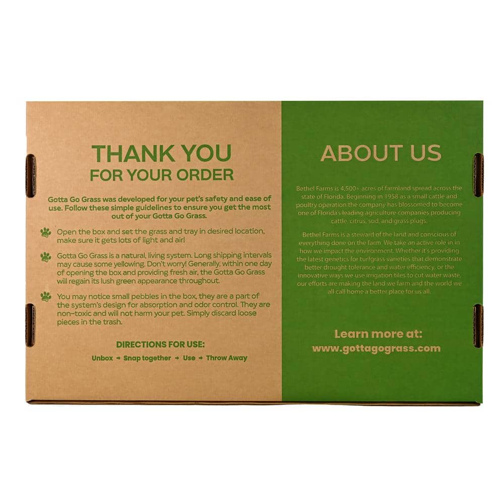 Small Green Natural Grass Dog Potty Pad