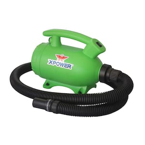 Do-It-Yourself Green Home Pet Dryer