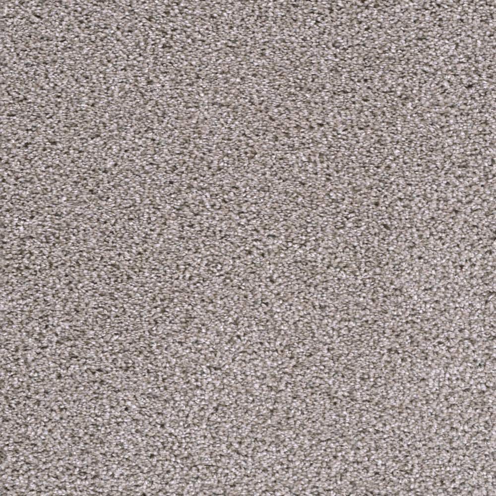 8 in. x  8 in. Texture Carpet Sample - Affectionate II -Color Desire price history on PriceWatchPro