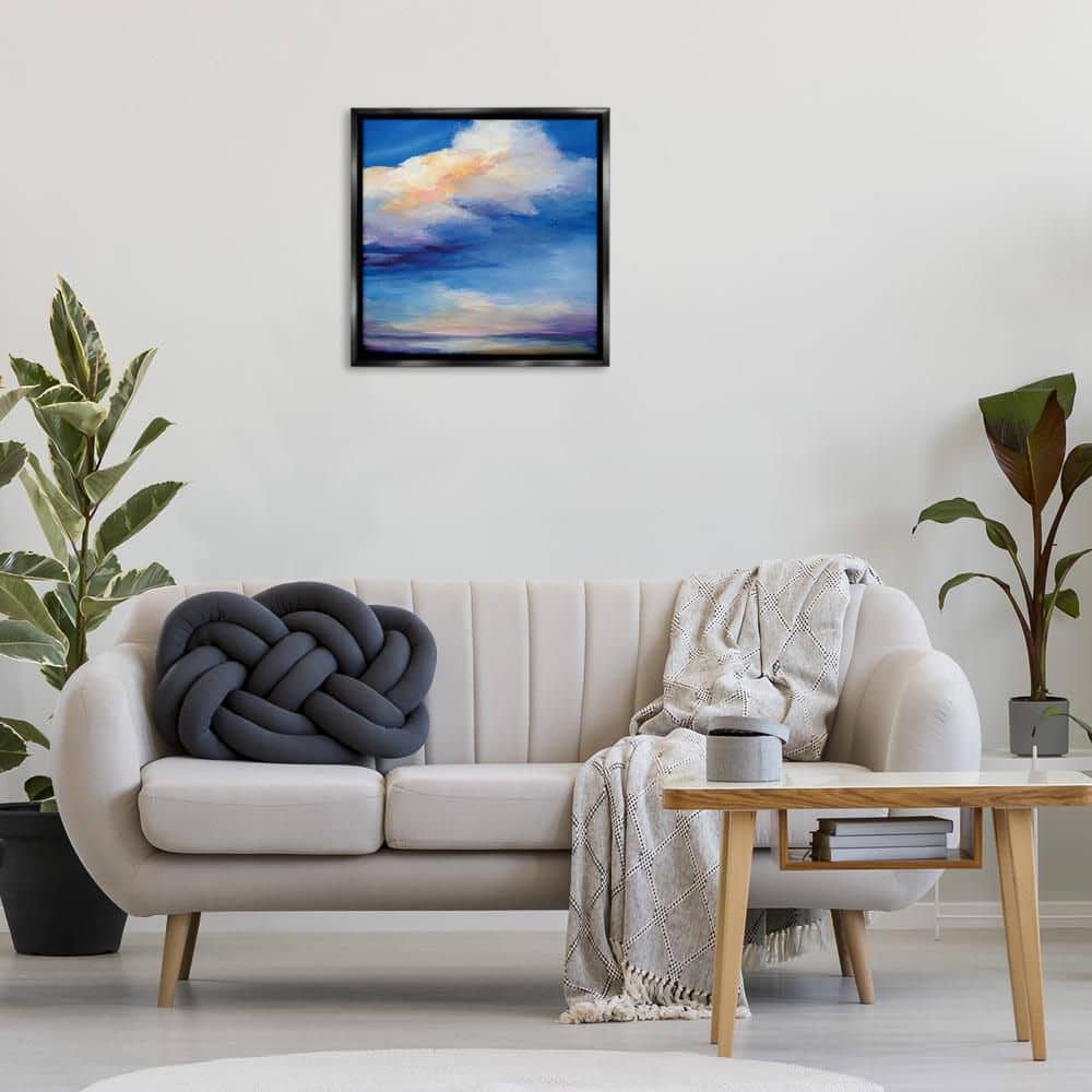 Pastel Clouds in Vivid Sky by Karen Hale Black Floater Frame Nature Graphic Art Print 25 in. x 25 in. price history on PriceWatchPro