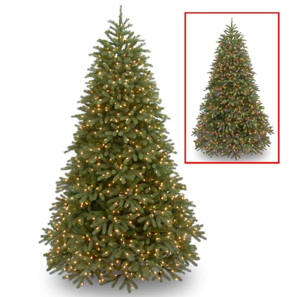 National Tree Company 10 ft. Jersey Fraser Fir Medium Tree with Dual Color LED Lights