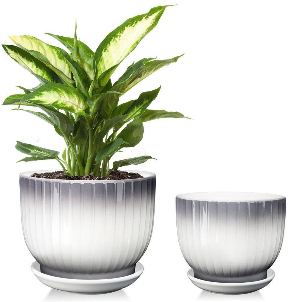 2-Piece Ceramic Pot Set (6.7, 5.5 Inch) with Saucers - Modern Planters with Drainage for Houseplants, Home and Office price history on PriceWatchPro