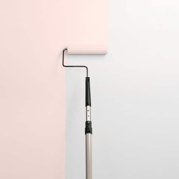 Pink Chablis PPG1064-2 Paint