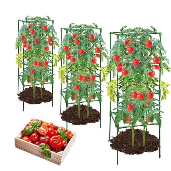FAWEY TRED INC 41.7 in. Garden Cucumber Trellis for Climbing Plants Outdoor 3 Pack Tomato Cages