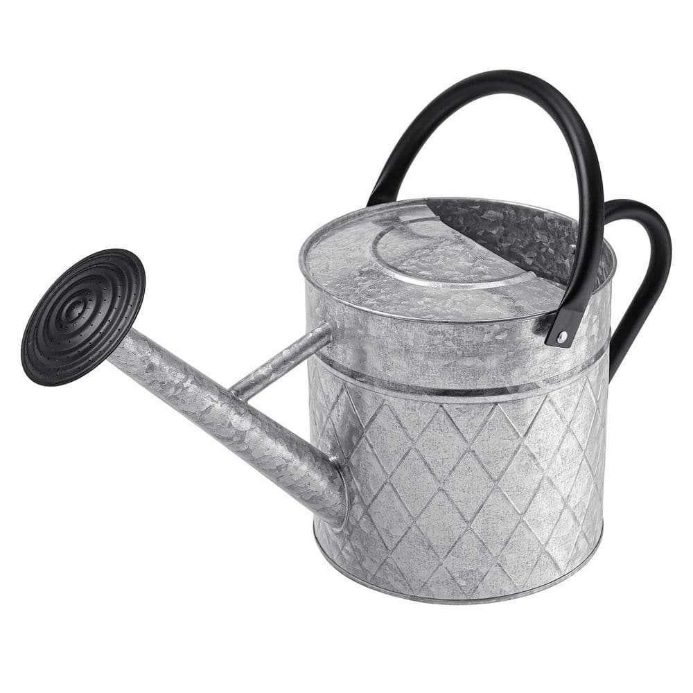 1.75 gal. Outdoor Silver Metal Watering Can with Removable Spray Spout for Garden Plants Ideal for Outdoor Use price history on PriceWatchPro
