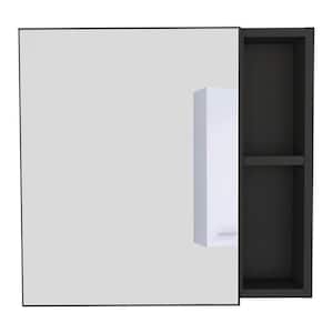 19.6 in. W x 18.6 in. H Bathroom Surface Mount Medicine Cabinet with Mirror,5 Shelves and Single Door in Black