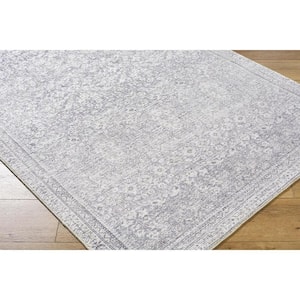 Collins Avenue Gray Traditional 8 ft. x 10 ft. Indoor Area Rug