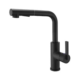 Hena Single-Handle Pull-Out Sprayer Kitchen Faucet with Accessories in Rust and Spot Resist in Matte Black