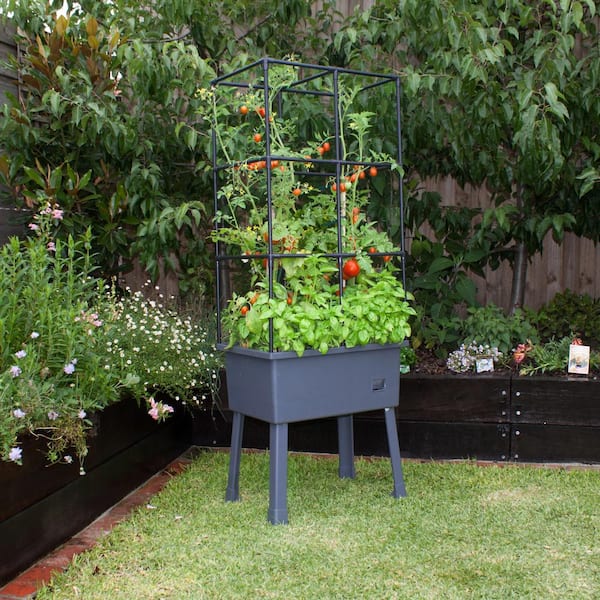 Image of Keter Store It Out Max with Wheels self watering raised garden bed