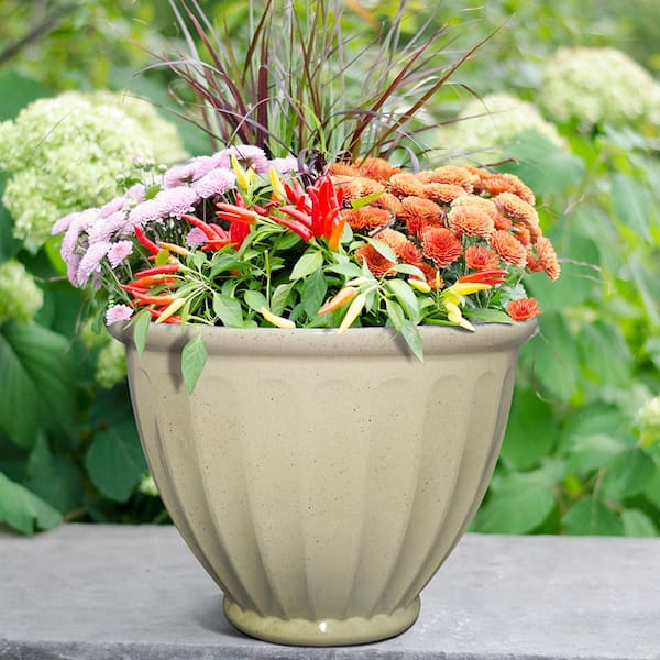 Caylo Medium 10 in. x 7.33 in. Irish Cream Resin Composite Glaze Indoor/Outdoor Planter