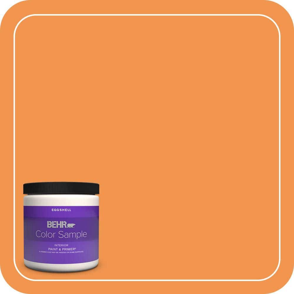 8 oz. #P230-6 Toucan Eggshell Enamel Interior Paint & Primer Color Sample price history on PriceWatchPro